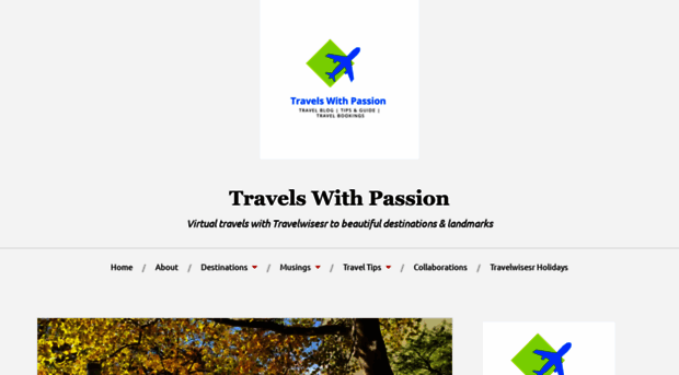 travelwisesr.com