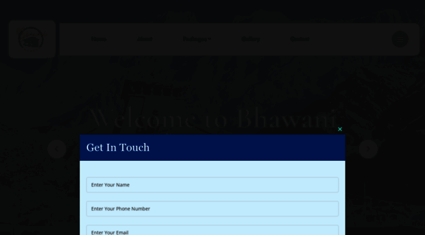 travelwithbhawani.com
