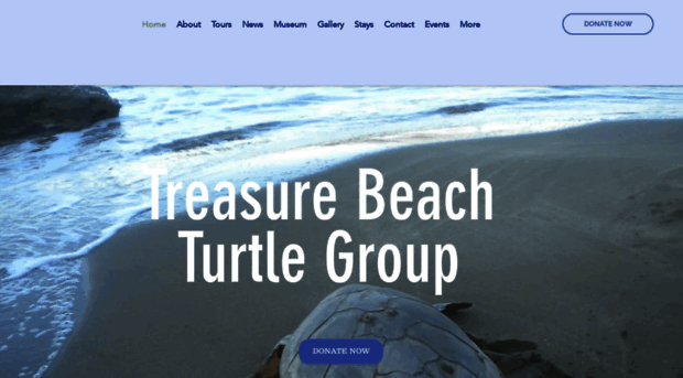 treasurebeachturtlegroup.com