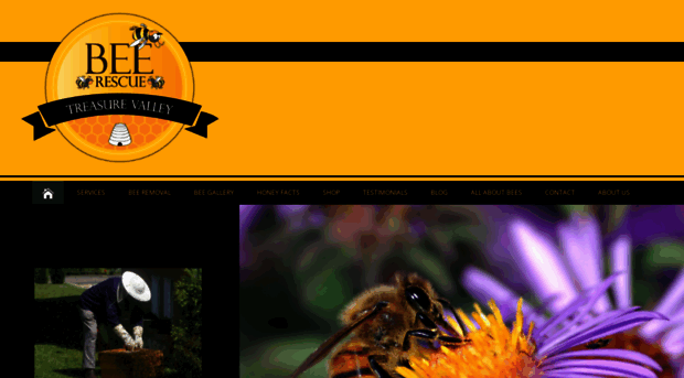 treasurevalleybeerescue.org
