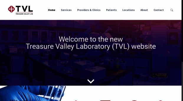 treasurevalleylab.com