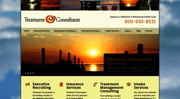 treatmentconsultants.com