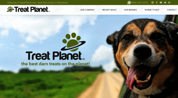 treatplanet.com