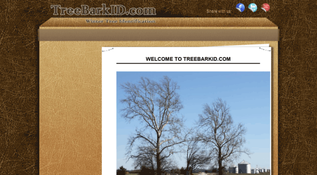 treebarkid.com