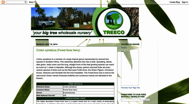 treeco-treeco.blogspot.com