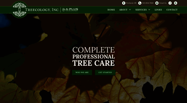 treecology.com