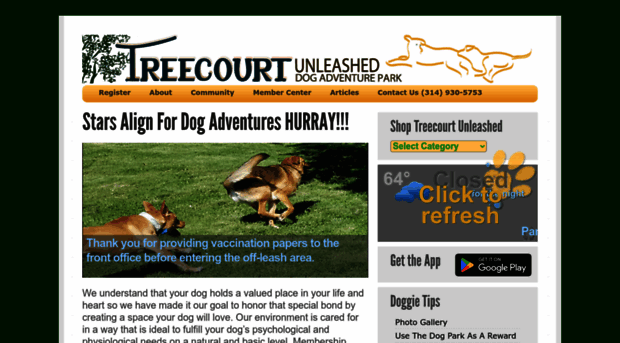 treecourtunleasheddogadventureparks.com