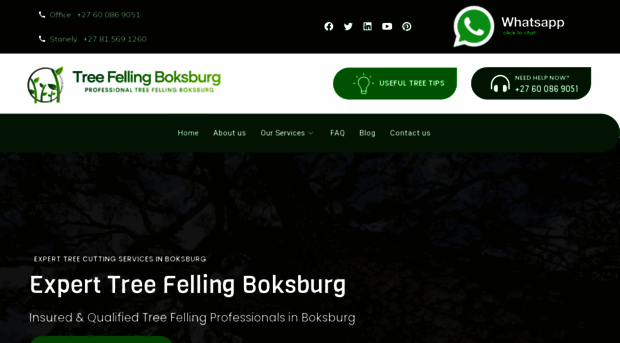 treefellingboksburg-gauteng.co.za