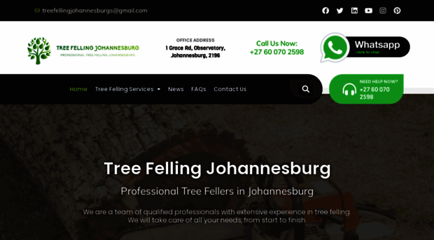 treefellingjohannesburgs.co.za