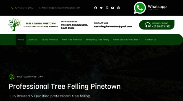 treefellingpinetown-kzn.co.za