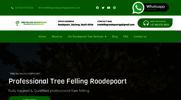 treefellingroodepoort-gauteng.co.za