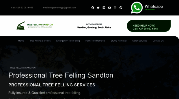 treefellingsandton-gauteng.co.za