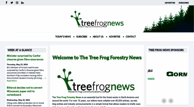 treefrogcreative.ca
