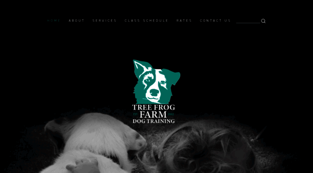 treefrogfarmdogtraining.com