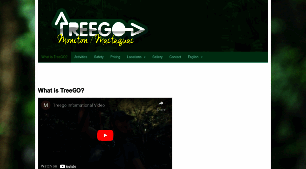 treegomoncton.com