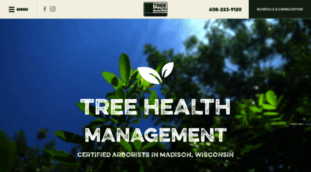 treehealthmgmt.com