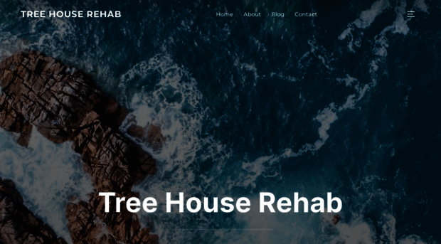treehouserehab.org