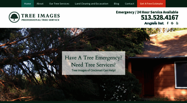 treeimagescincy.com