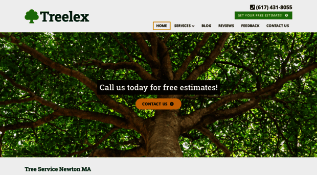 treelex.com