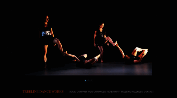 treelinedanceworks.com