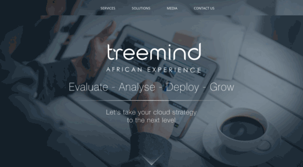 treemind.solutions