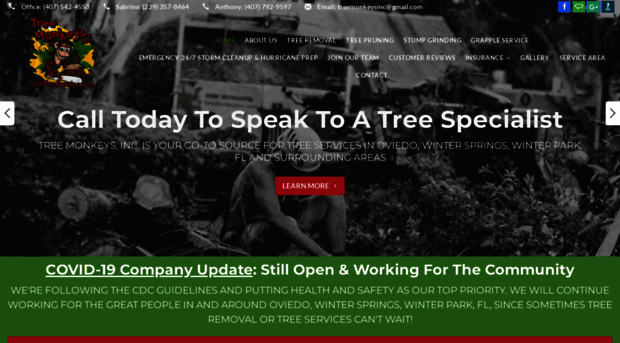 treemonkeysinc.com