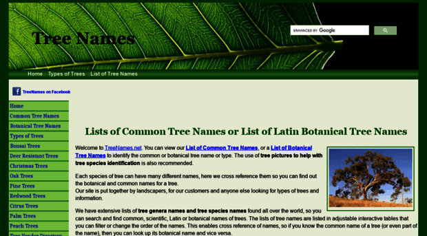 Treenames Net Tree Names List Of Common And Tree Names
