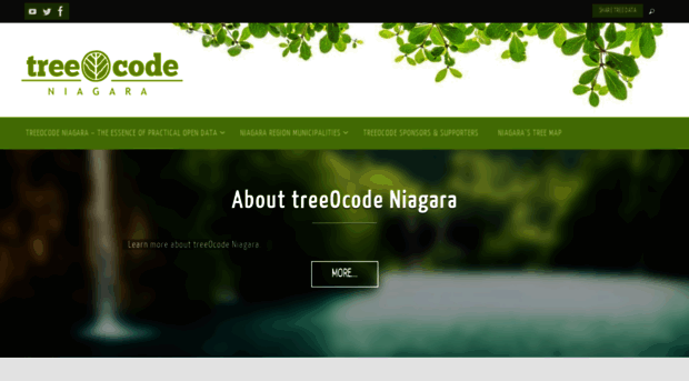 treeocodeniagara.com