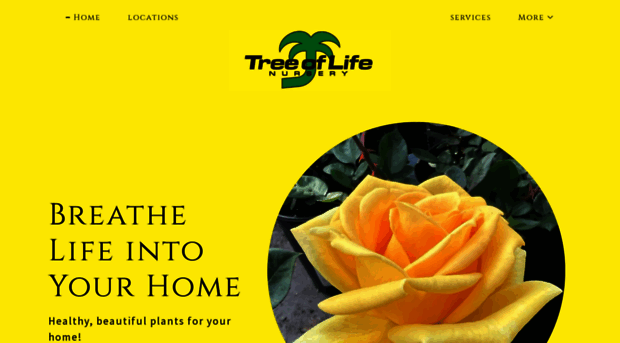 treeoflifenurseryrgv.com