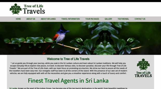 treeoflifetravels.com