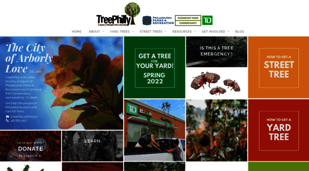 treephilly.org