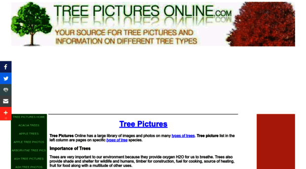 treepicturesonline.com
