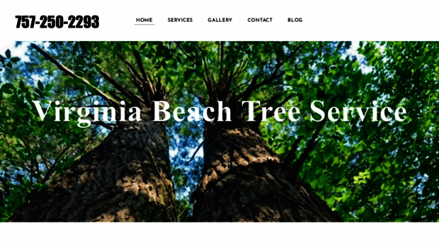 treeremovalvirginiabeachva.com