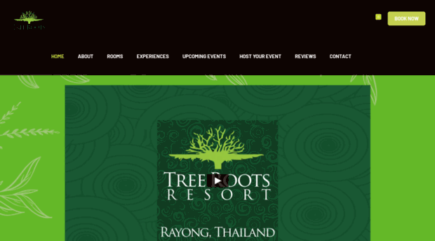 treerootsretreat.com