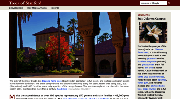 trees.stanford.edu