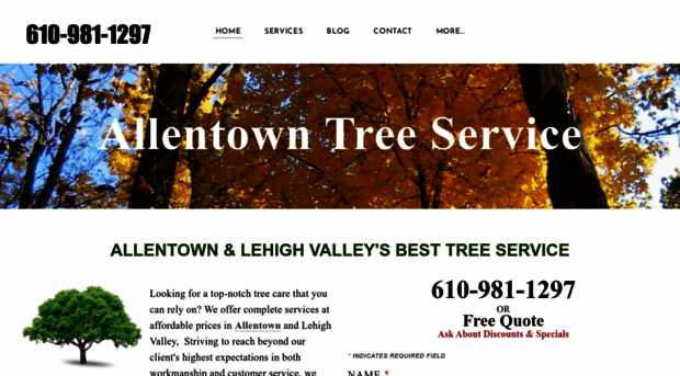 treeserviceallentown.com