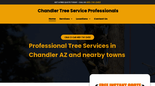 treeservicechandleraz.com