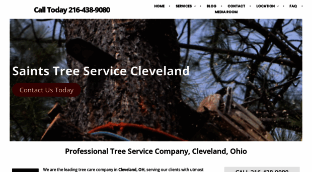 treeserviceclevelandoh.com