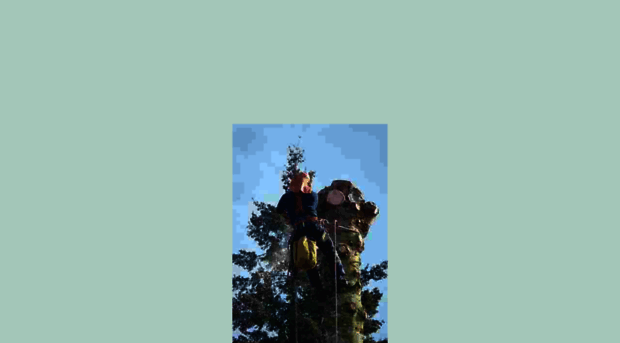 treeservicecompanypros.com