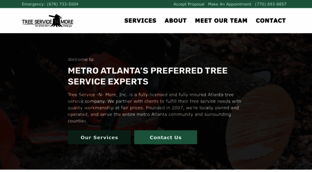 treeservicenmore.com