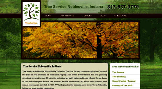 treeservicenoblesville.com