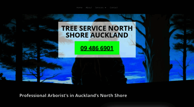 treeservicenorthshore.co.nz