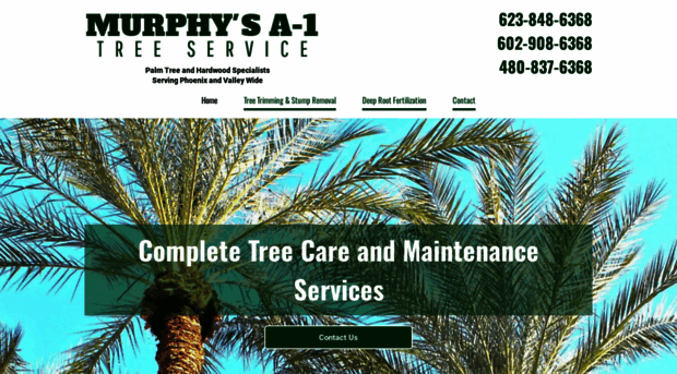 treeservicephoenix.net