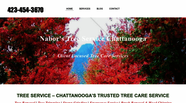 treeserviceschattanooga.com