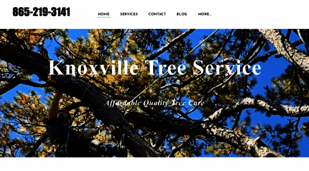 treeservicesknoxville.com