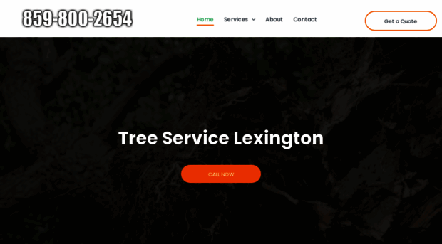 treeserviceslexingtonky.com