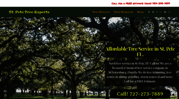treeservicestpete.com