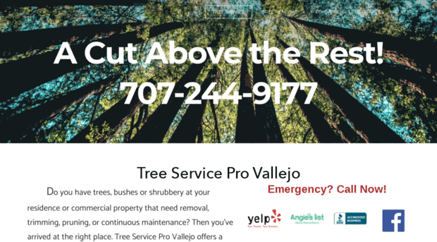 treeservicevallejo.com