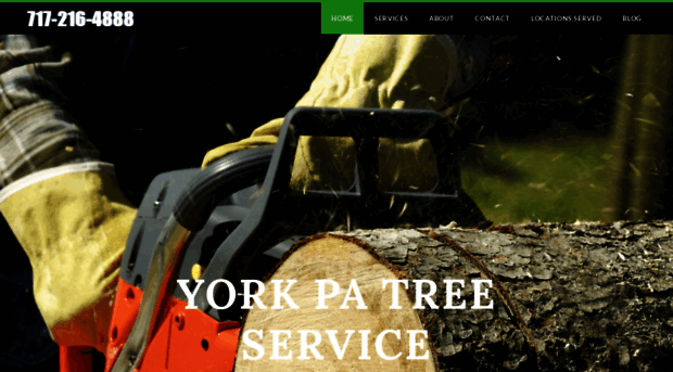 treeserviceyorkpa.org