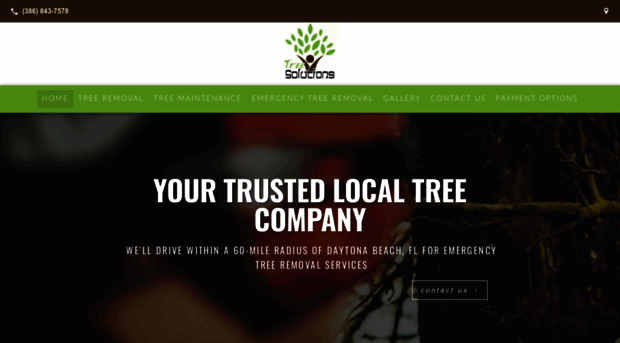 treesolutionsflorida.com